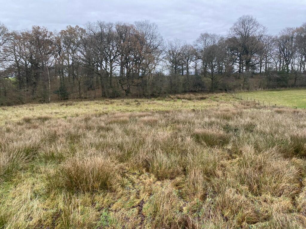 Additional property image - Land at Bleatarn, Appleby-in-Westmorland