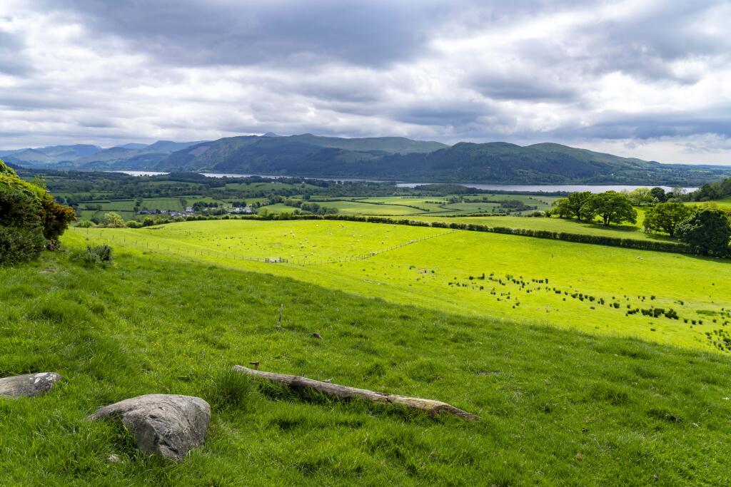 Additional property image - Lot 5 - Land at Robin Hood Farm, Bassenthwaite, Keswick, Cumbria CA12 4RJ