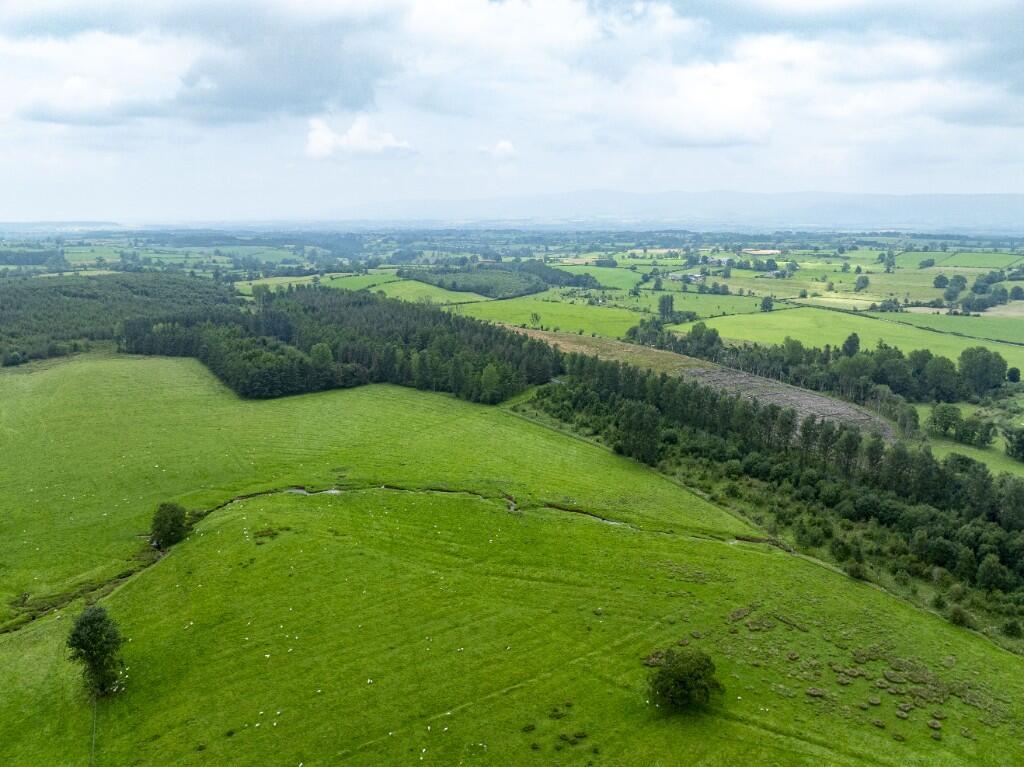Main image of property: Land and Woodland at Reagill & Maulds Meaburn