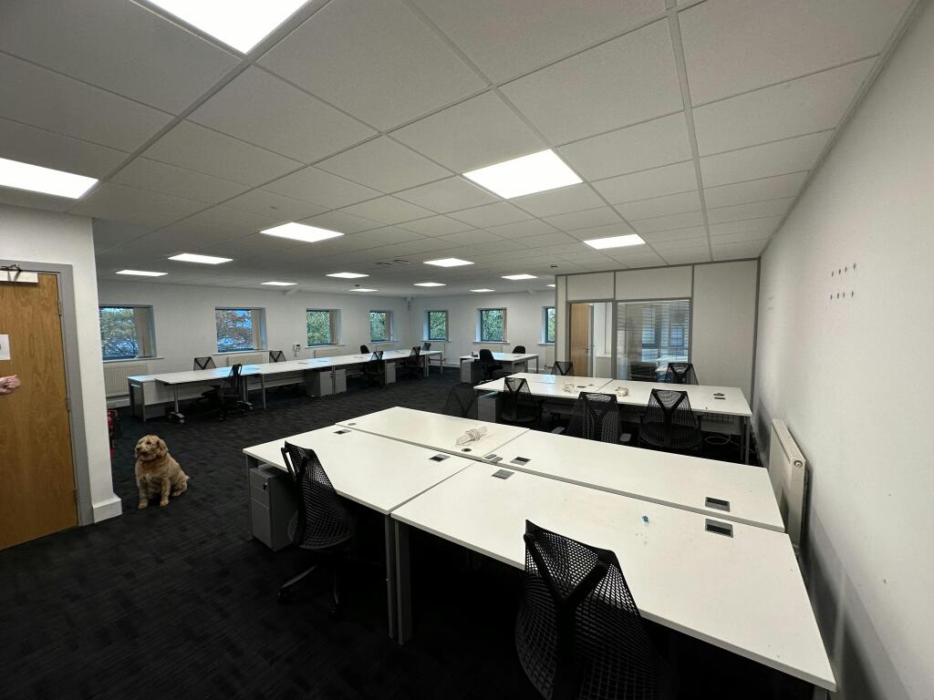 IMG_0335  Copy 3.JPG