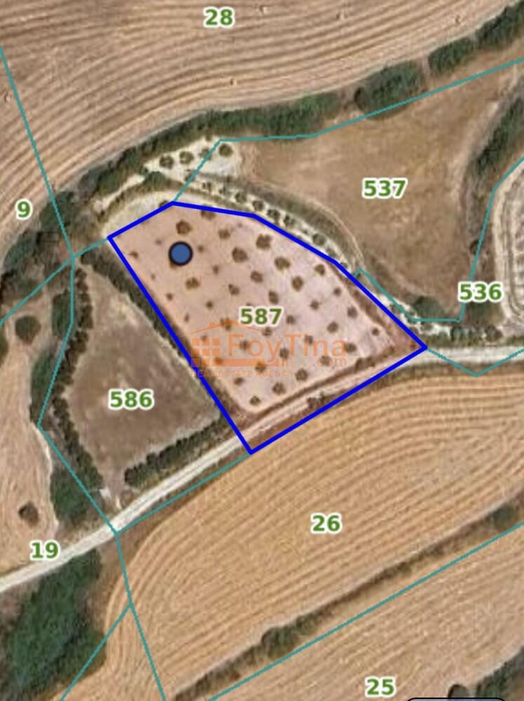 Main image of property: Limassol, Pissouri