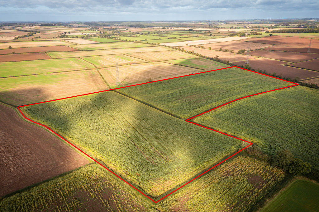 Farm land for sale in 10.15 Ha (25.08 Ac) Arable Land, Norwell, Newark