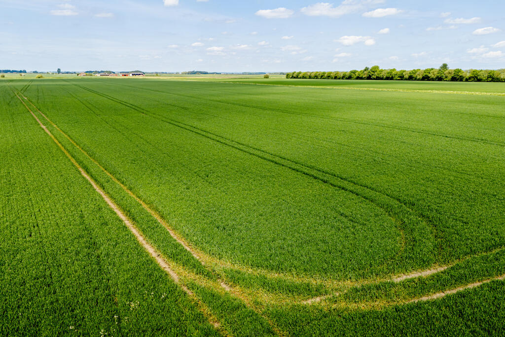 Main image of property: 236.85 Acres Of Land, Walcott Fen, Billinghay, Lincoln, Lincolnshire, LN4 4BH