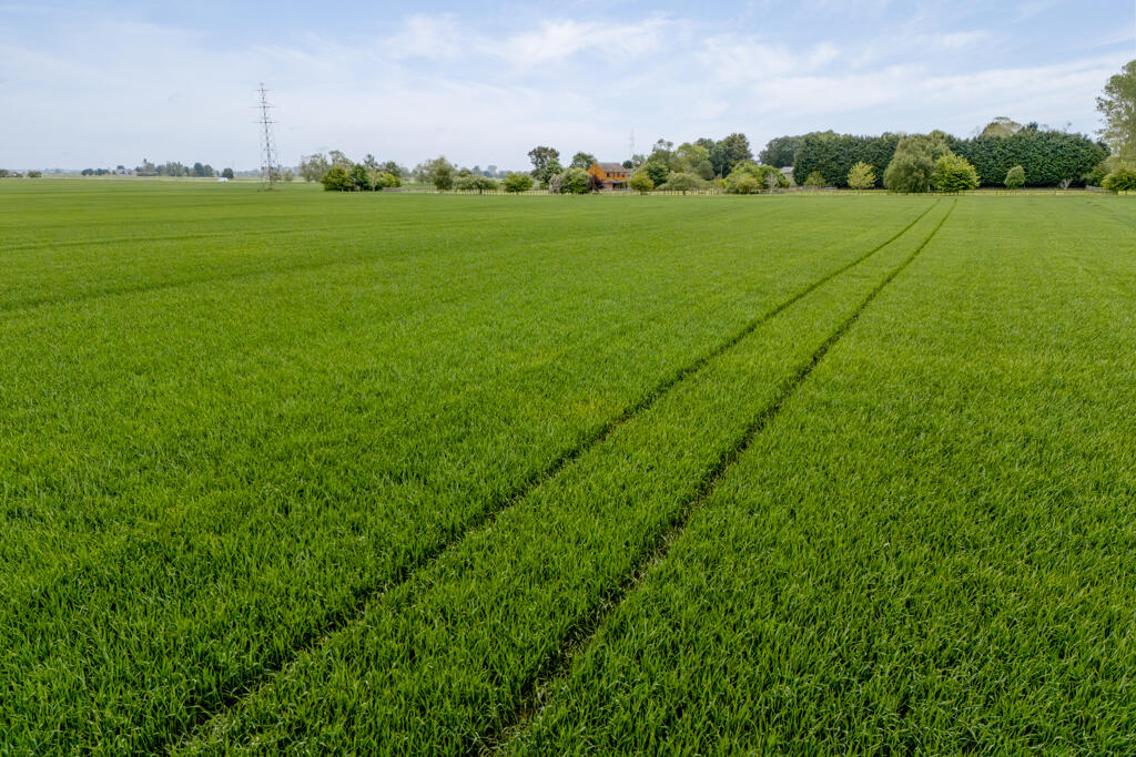 Main image of property: Lot 2 - 61.15 Acres Of Land, Ravens Gate, Holbeach St. Johns, Spalding, Lincolnshire, PE12 8RD