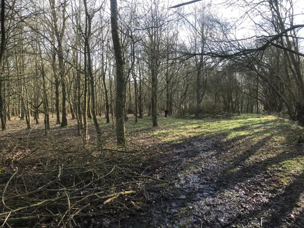 Land for sale in Tilley Lane, Boreham Street, Hailsham, East Sussex, BN27