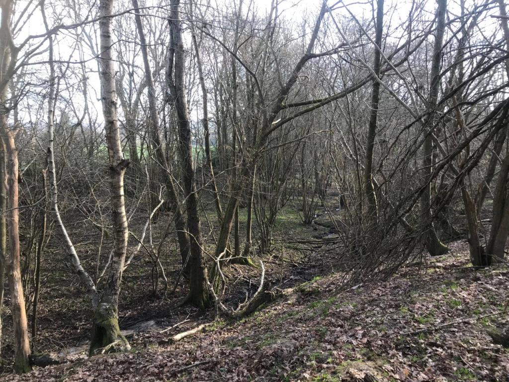 Land for sale in Tilley Lane, Boreham Street, Hailsham, East Sussex, BN27