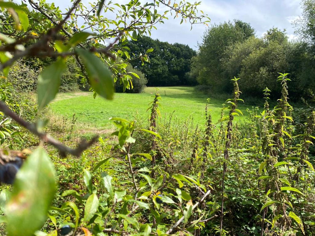 Land for sale in Mayfield, East Sussex, TN20