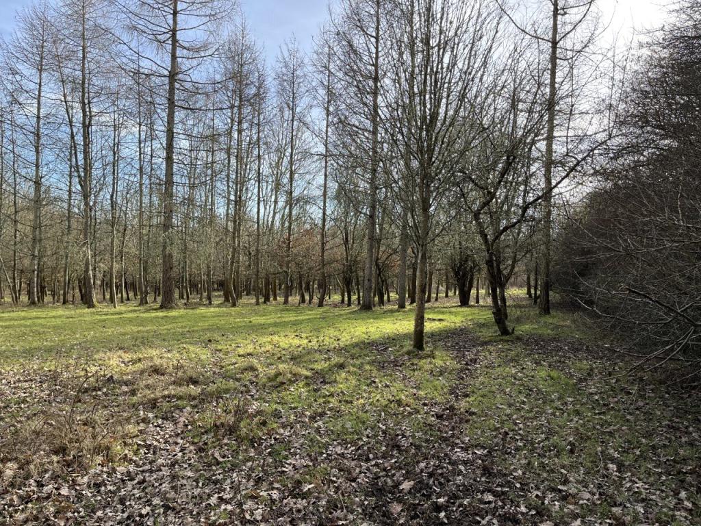 Land for sale in Blackham, Tunbridge Wells, East Sussex, TN3
