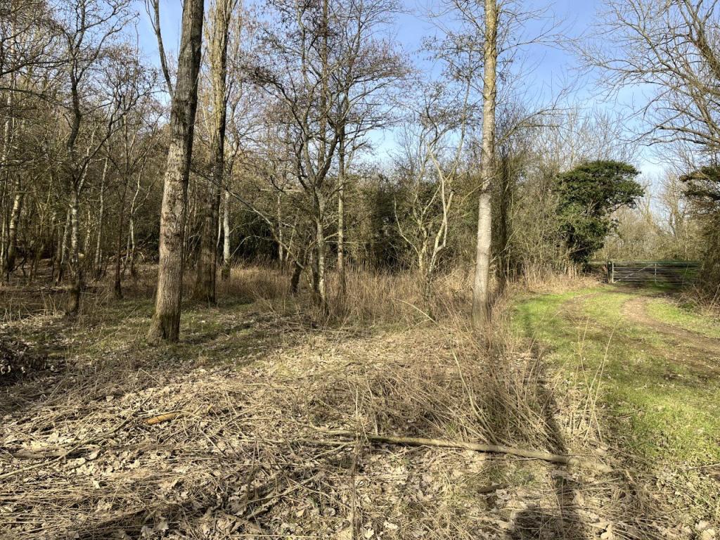 Land for sale in Blackham, Tunbridge Wells, East Sussex, TN3