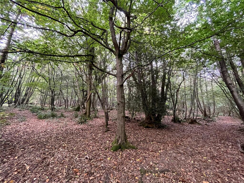 Land for sale in Tree Tops, Wilderness Lane, Hadlow Down, Uckfield, TN22