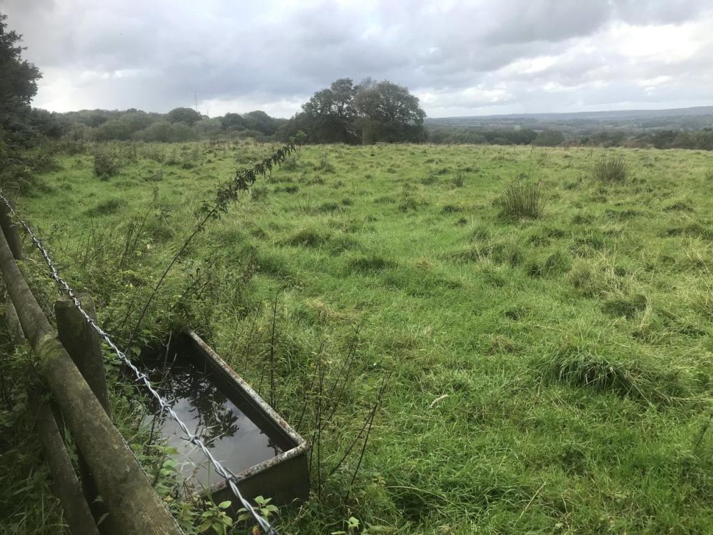 Land for sale in Newick Lane, Heathfield, East Sussex, TN21