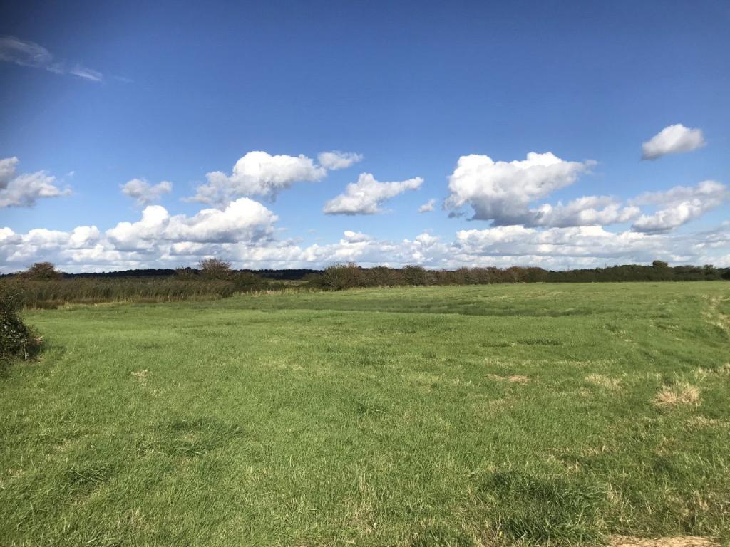 Land for sale in Rickney, Hailsham, East Sussex, BN27