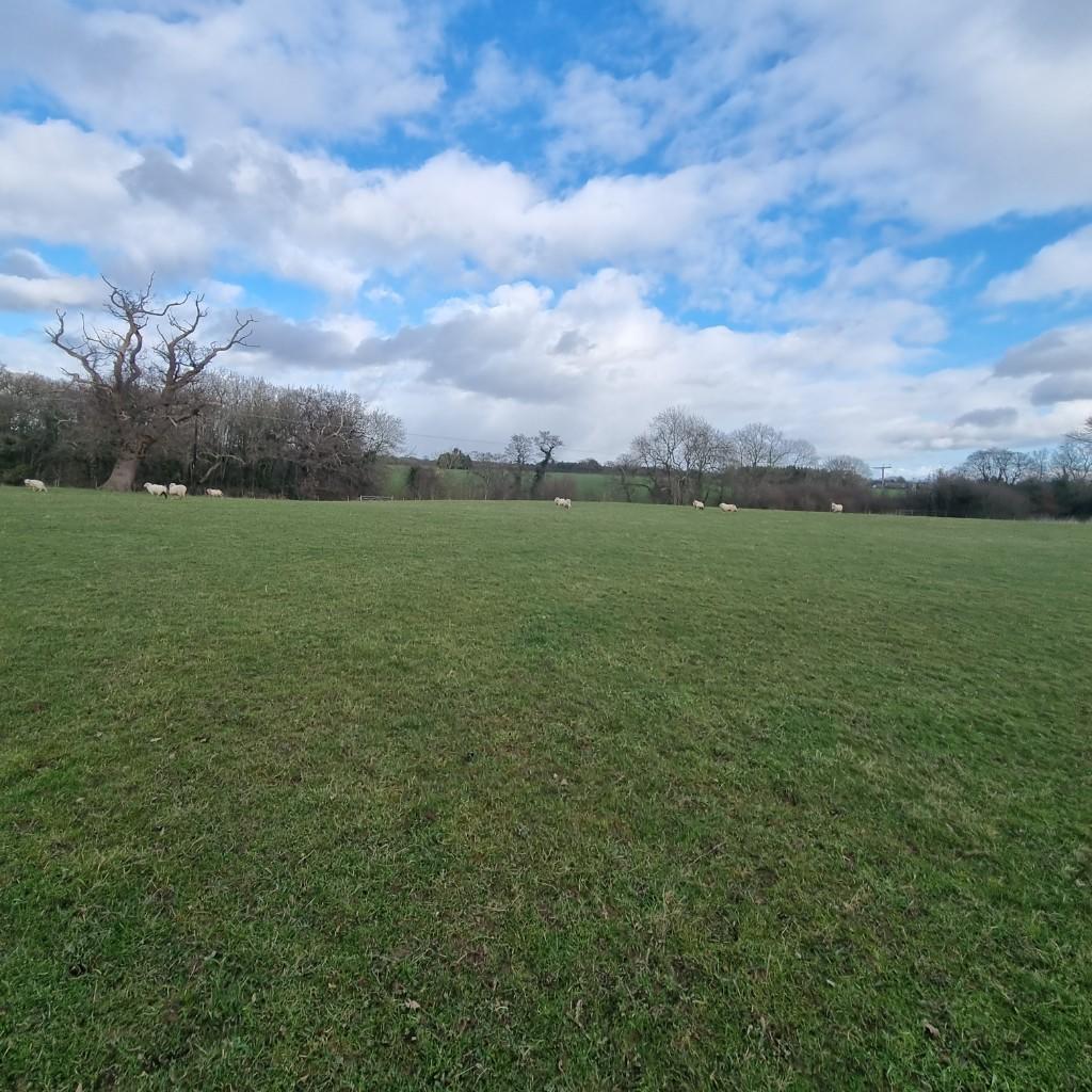 Farm land for sale in Land at Threapwood, Threapwood, Malpas, SY14 7AN, SY14