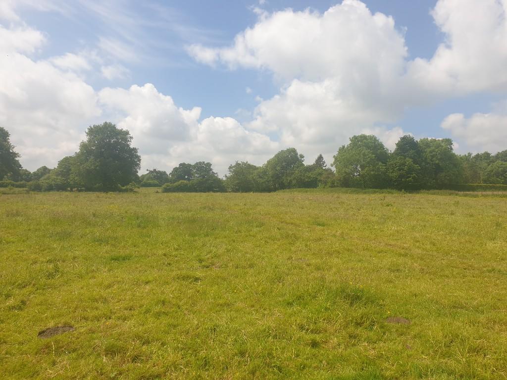 Land for sale in Land at Hollin Green Lane, Faddiley, CW5 8JG, CW5
