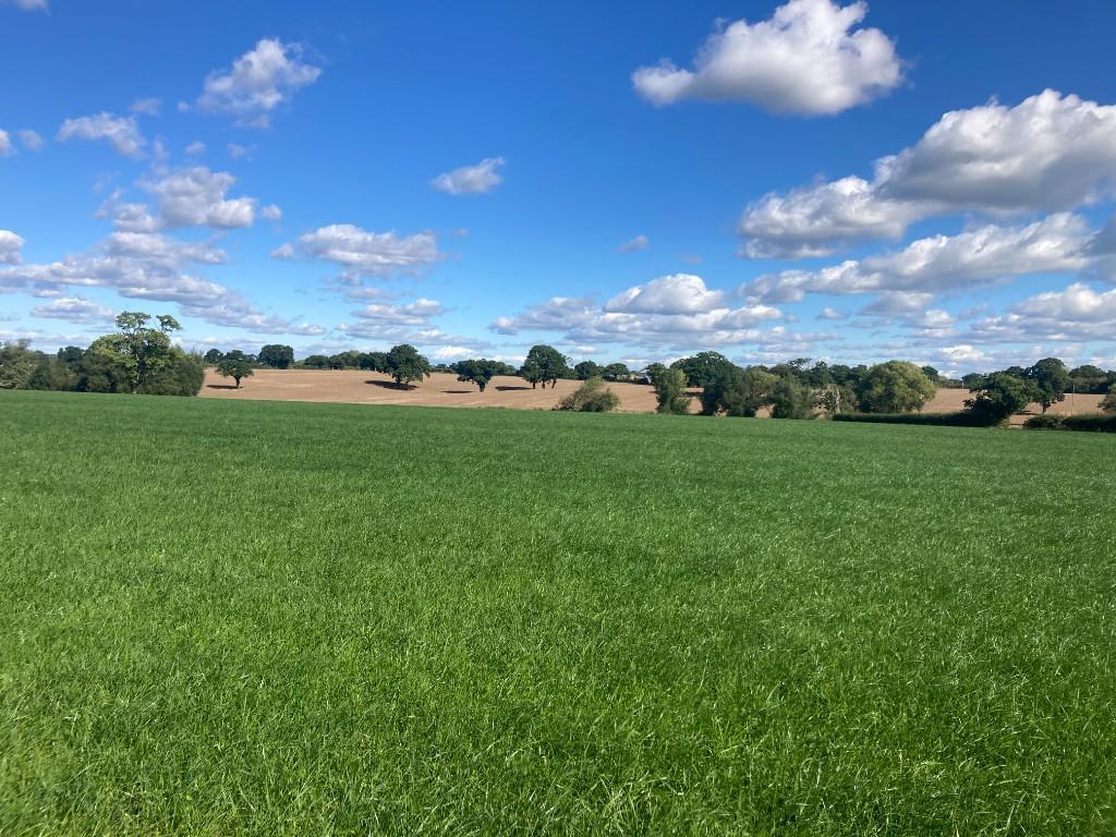 Farm land for sale in Land at Pool Head Farm, Darnhall, Winsford, CW7