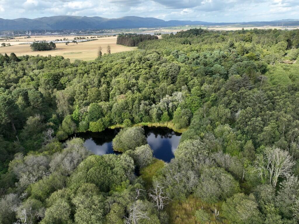 Land for sale in Dunmore Wood, Airth, FK2
