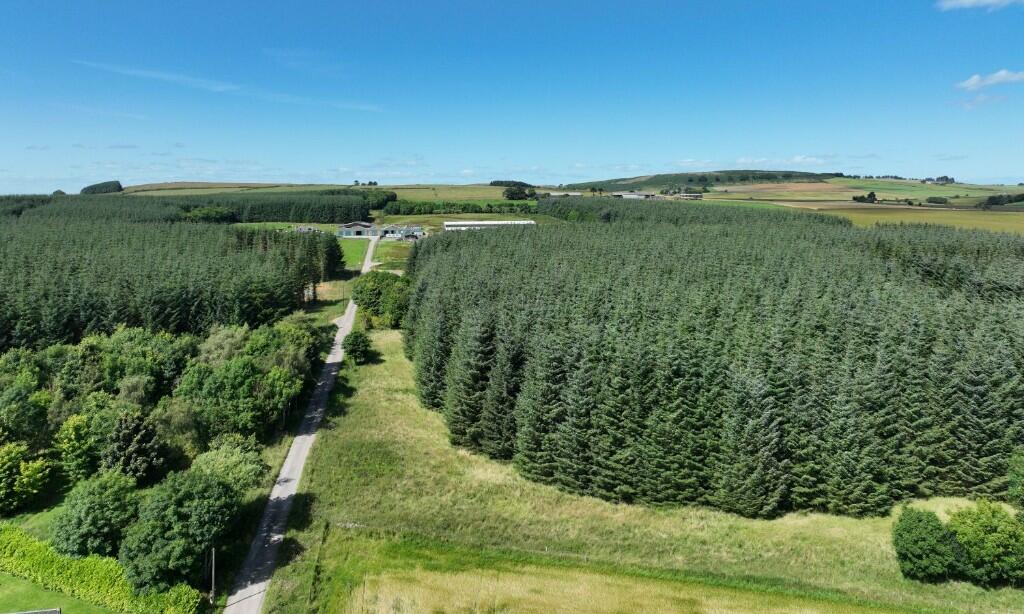 Additional property image - Ordiefauld Wood, Inverurie,  AB51
