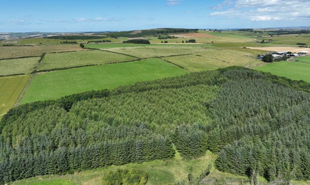 Additional property image - Ordiefauld Wood, Inverurie,  AB51
