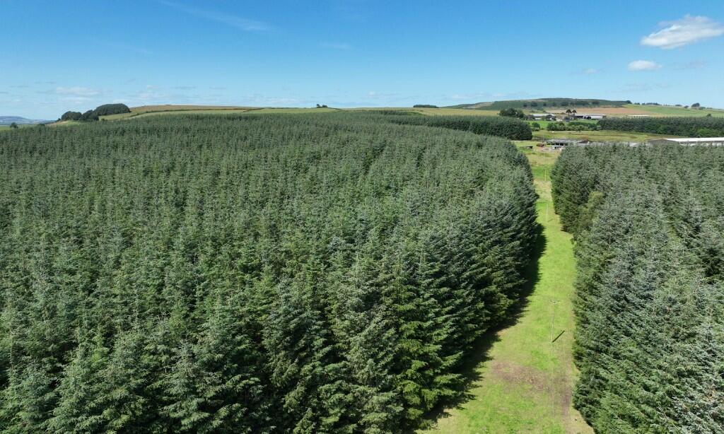 Additional property image - Ordiefauld Wood, Inverurie,  AB51
