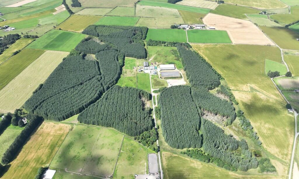 Additional property image - Ordiefauld Wood, Inverurie,  AB51
