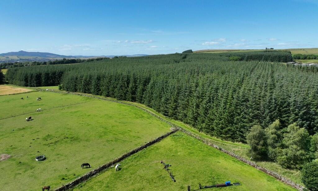 Additional property image - Ordiefauld Wood, Inverurie,  AB51