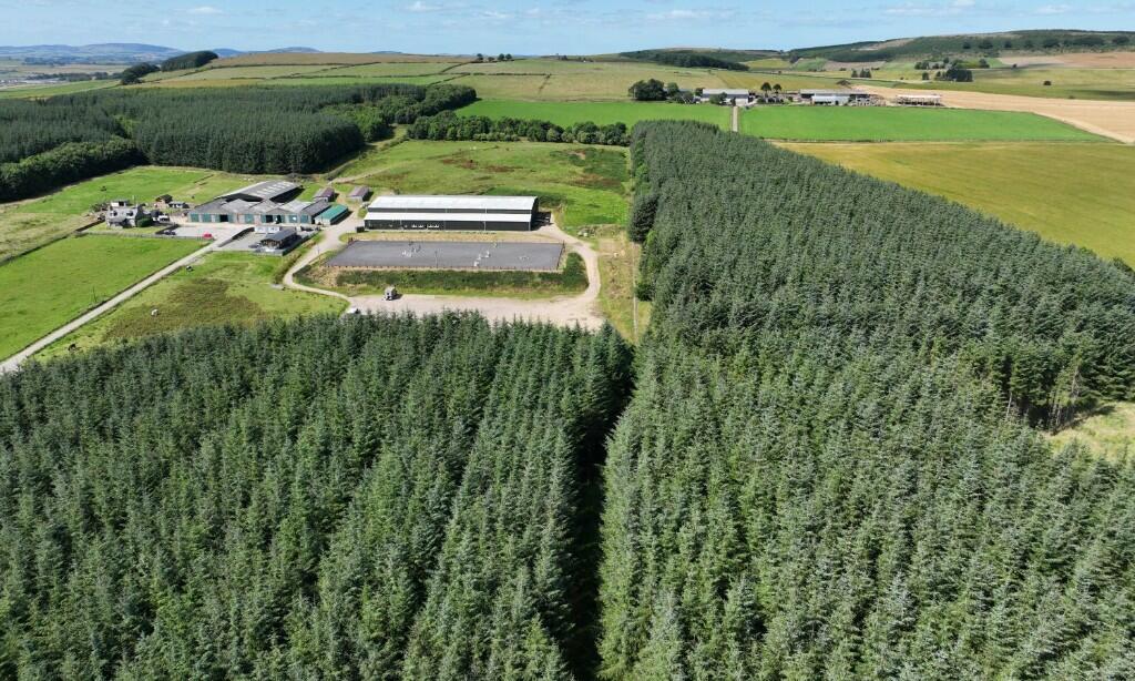 Additional property image - Ordiefauld Wood, Inverurie,  AB51