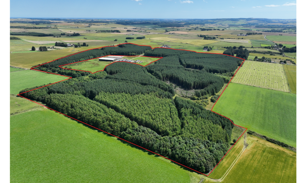 Additional property image - Ordiefauld Wood, Inverurie,  AB51