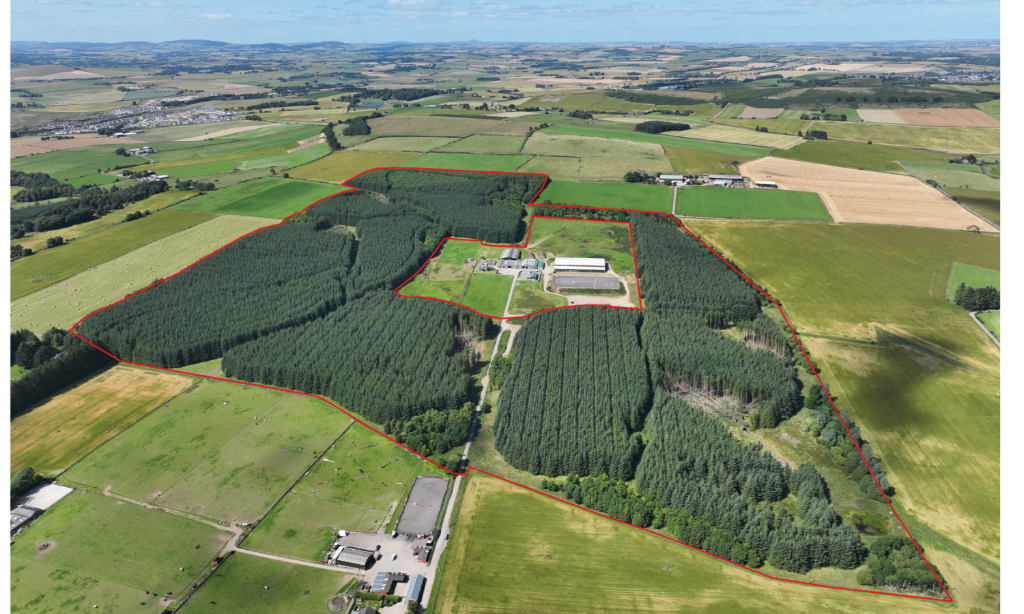 Additional property image - Ordiefauld Wood, Inverurie,  AB51