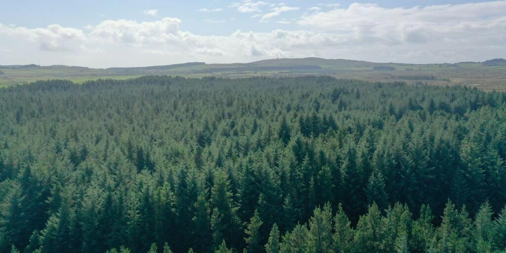 Additional property image - Crailloch Moss Wood, Galloway DG8
