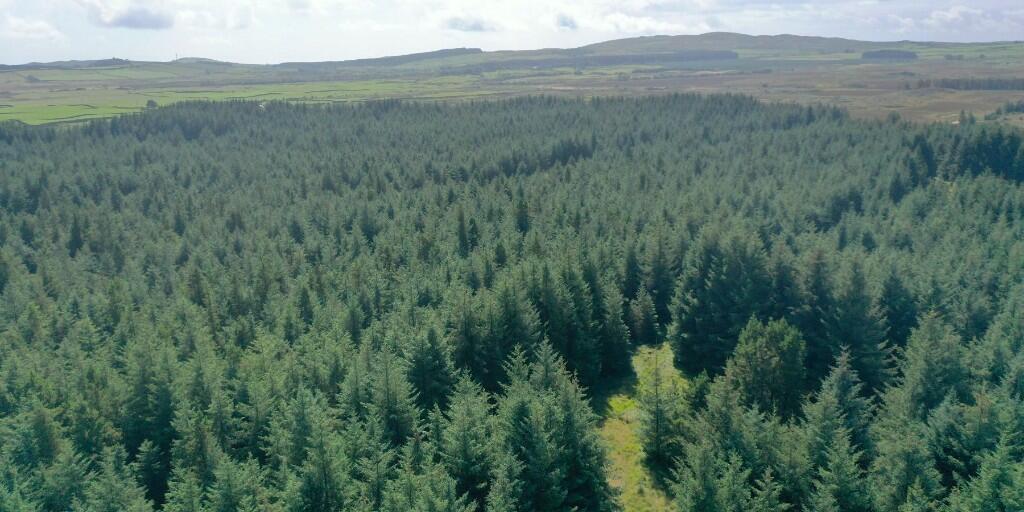 Additional property image - Crailloch Moss Wood, Galloway DG8