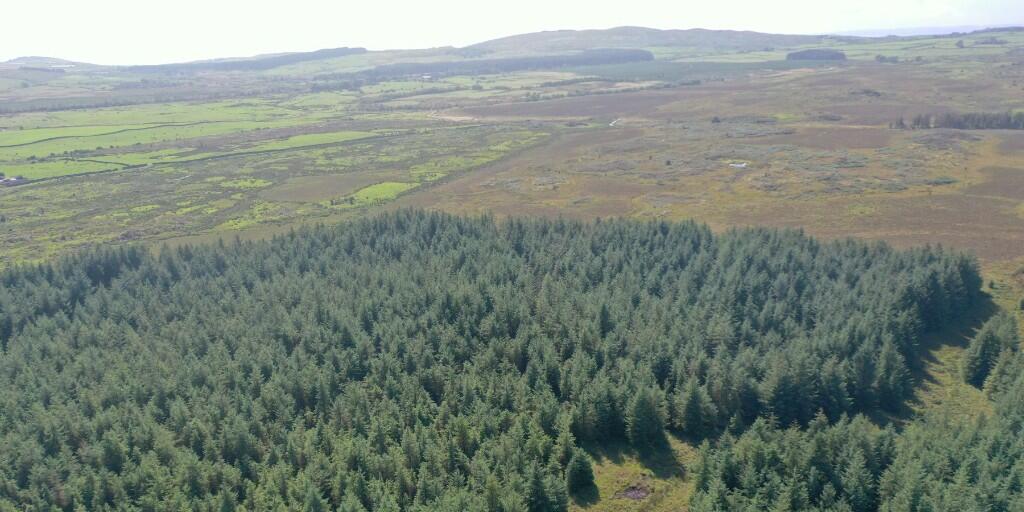 Additional property image - Crailloch Moss Wood, Galloway DG8