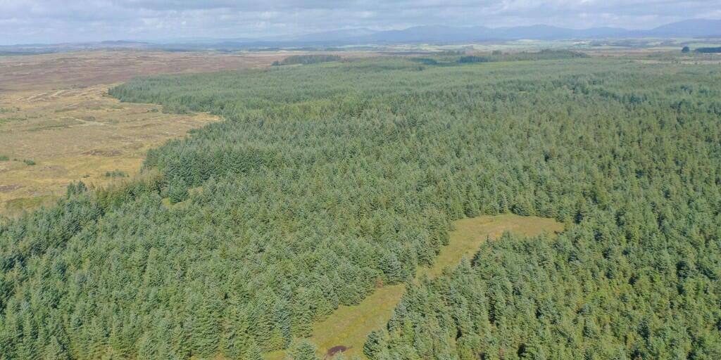 Additional property image - Crailloch Moss Wood, Galloway DG8