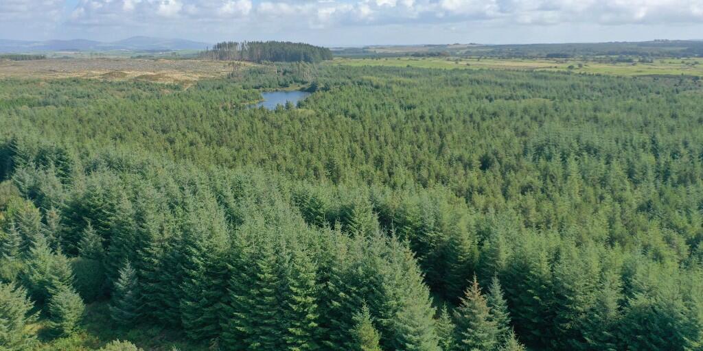 Additional property image - Crailloch Moss Wood, Galloway DG8