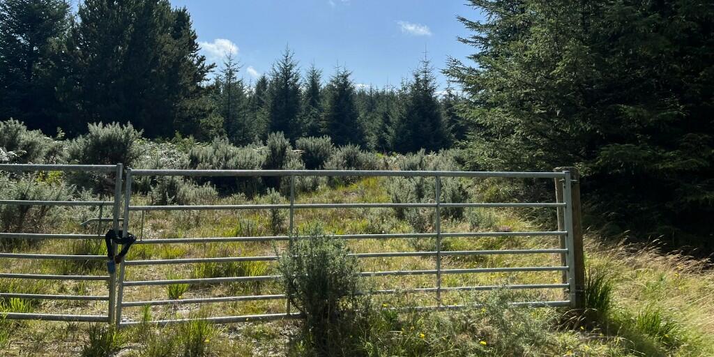 Additional property image - Crailloch Moss Wood, Galloway DG8