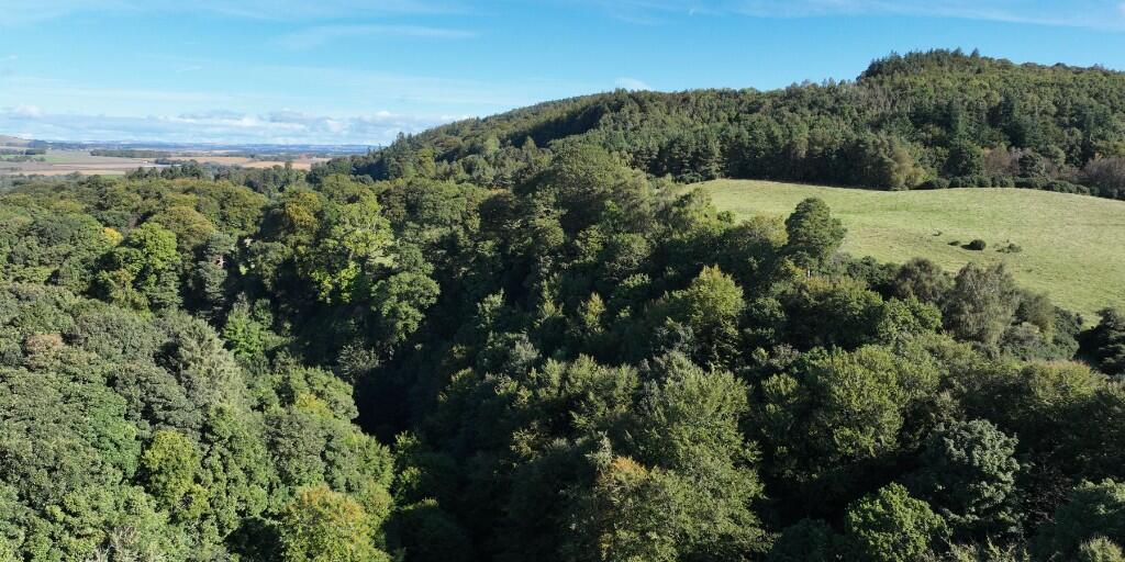 Main image of property: Dura Den Wood, Pitscottie KY15
