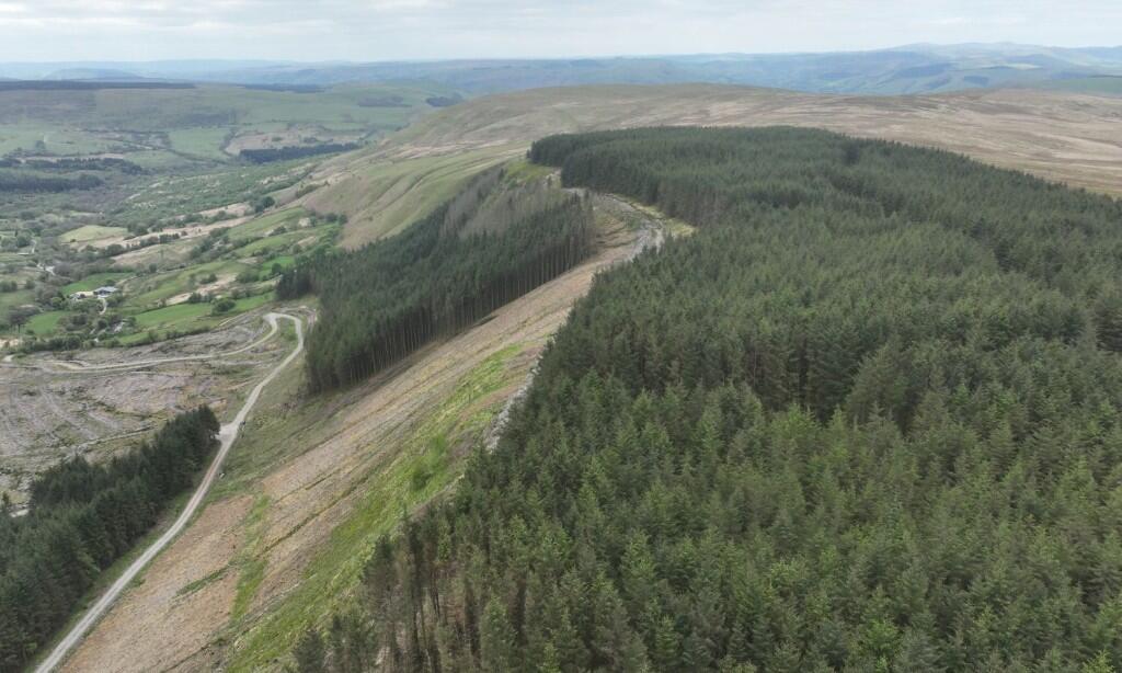 Main image of property: Coed Y Cwm Forest, Llanbrynmair, SY19