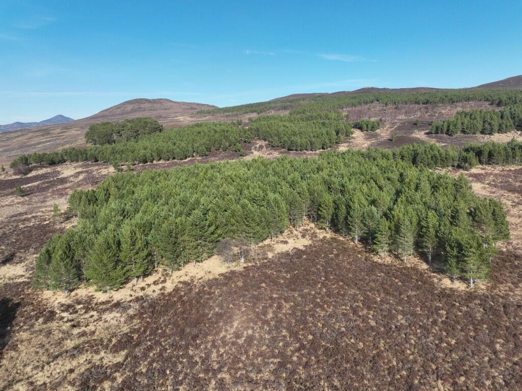 Main image of property: Glentruim Hill, Dalwhinnie, PH20