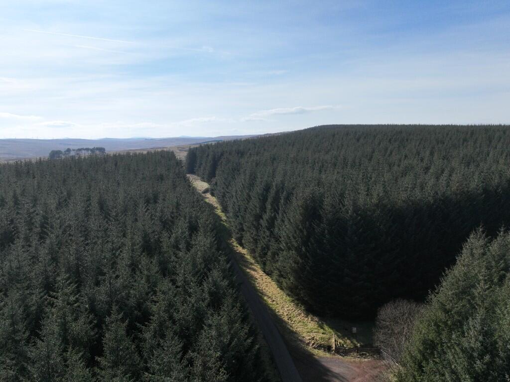 Main image of property: Burnhouse Moor, South Lanarkshire ML12