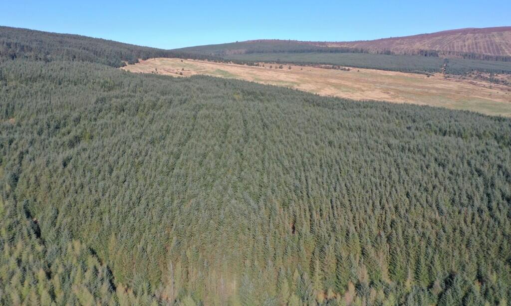 Main image of property: Ryes Forest, Bogknowe DG2