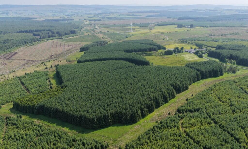 Main image of property: Ardochrig Wood, S.Lanarkshire G75
