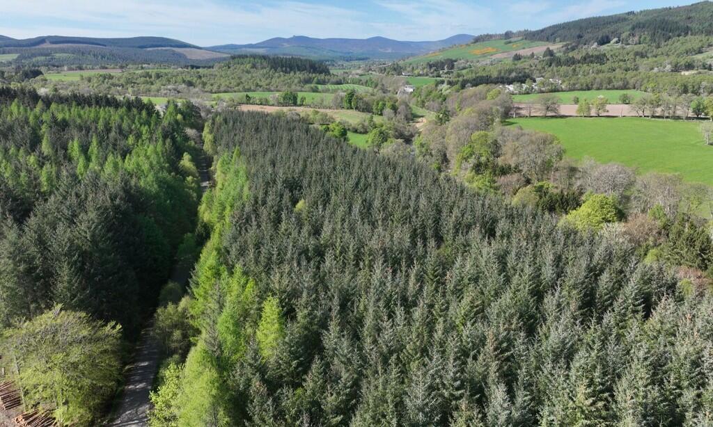 Main image of property: Affrusk Woodland, Banchory AB31