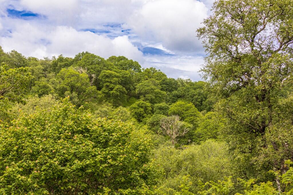 Main image of property: Glen Nant, Taynuilt, Argyllshire, PA35