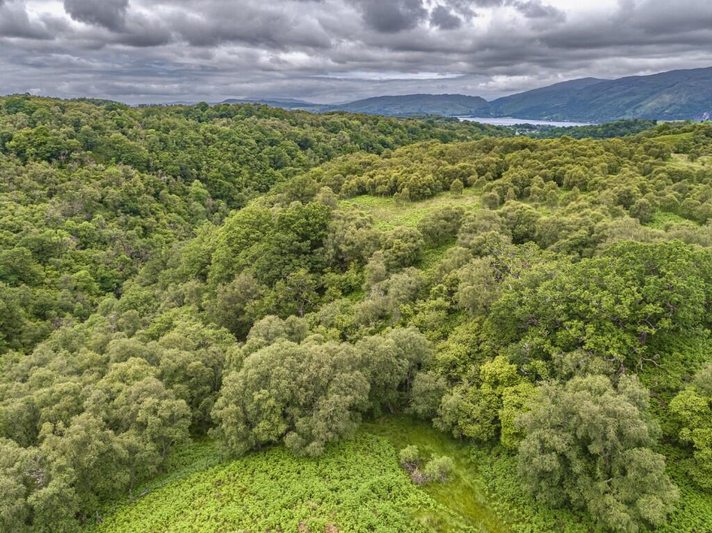 Main image of property: Glen Nant, Taynuilt, Argyllshire, PA35