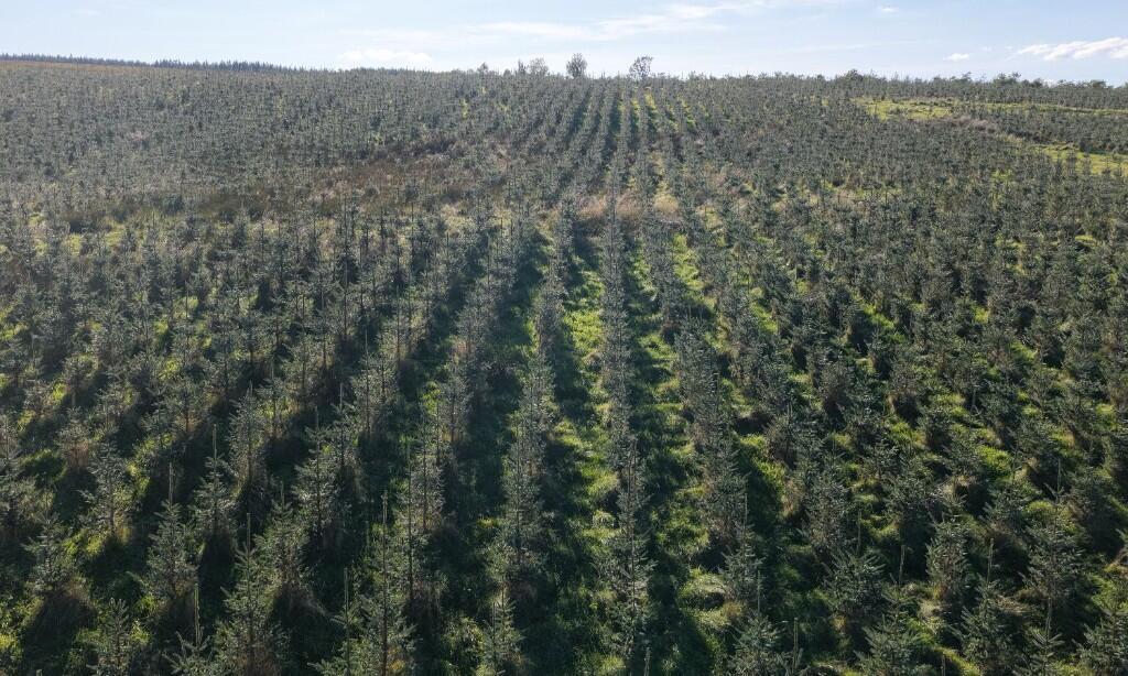 Main image of property: Low Keirs, Patna, KA6