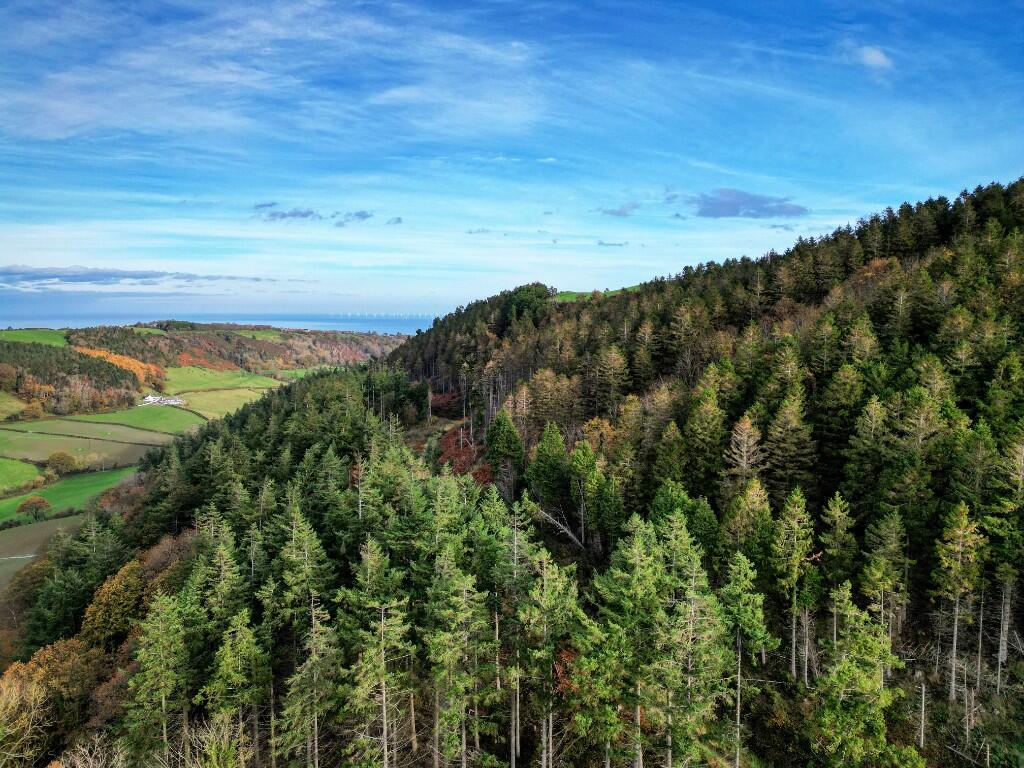 Main image of property: Bryn y M aen Wood, Nr Colwyn Bay LL29