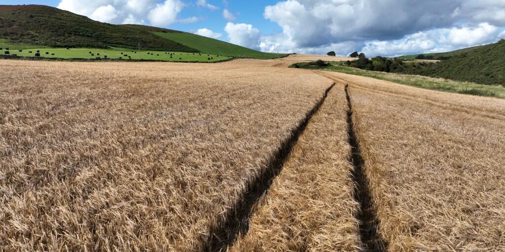 Farm land for sale in Land at Wiltonburn, Hawick, Roxburghshire, TD9