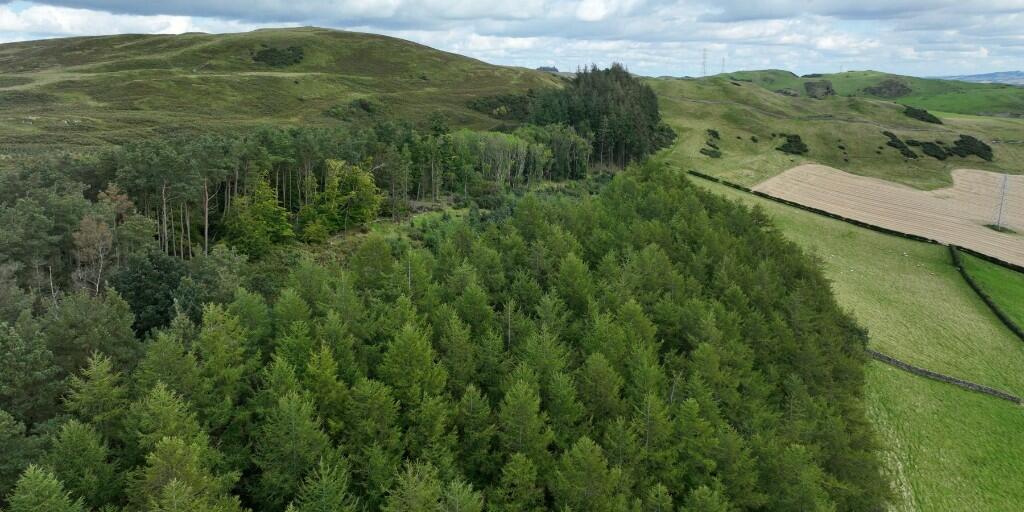 Farm land for sale in Land at Wiltonburn, Hawick, Roxburghshire, TD9