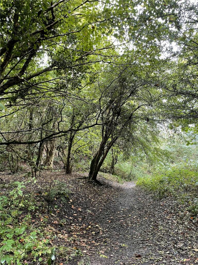 Additional property image - Garley Gill Woodland, Dearham, Maryport, Cumbria, CA15