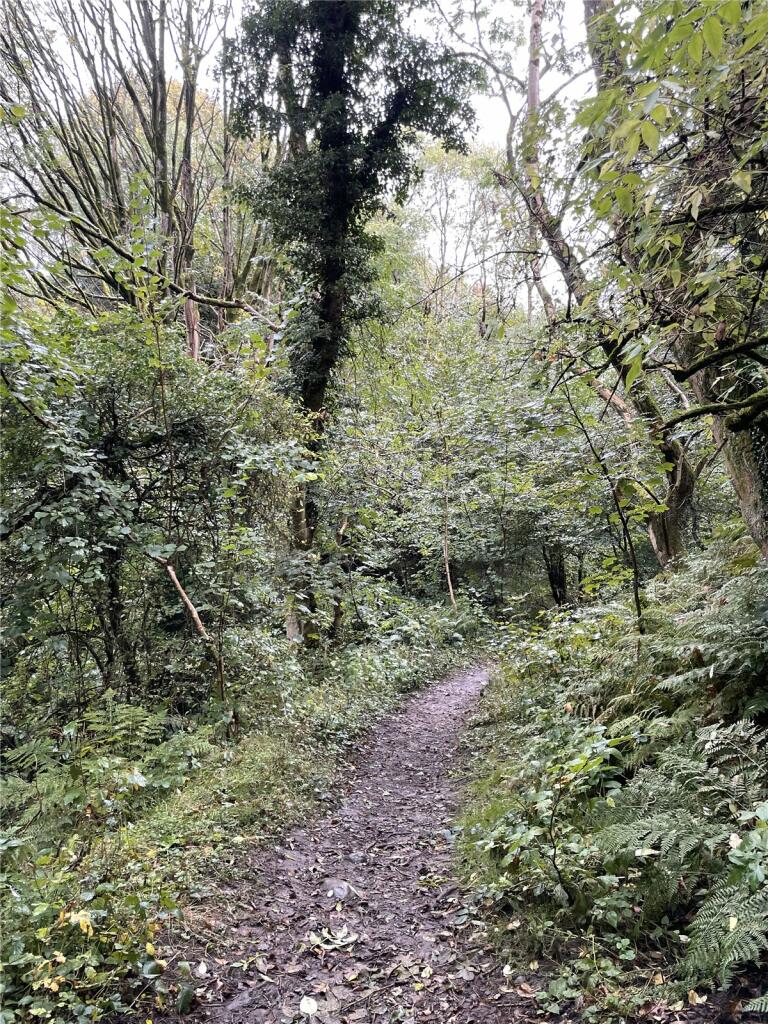 Additional property image - Garley Gill Woodland, Dearham, Maryport, Cumbria, CA15