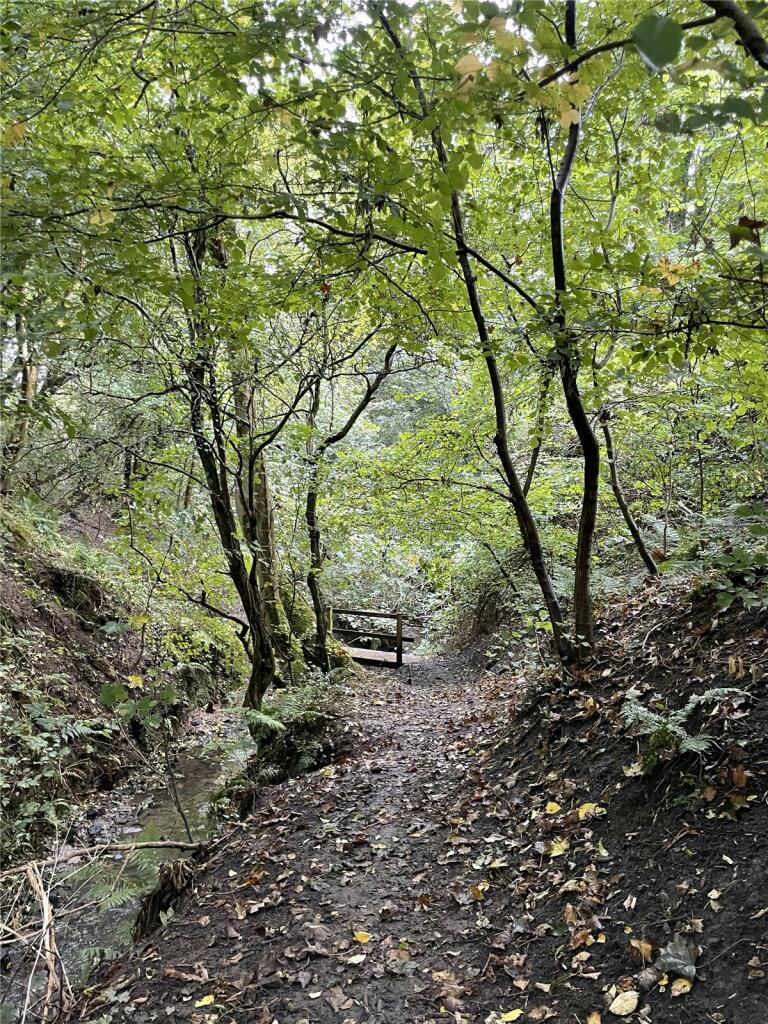 Additional property image - Garley Gill Woodland, Dearham, Maryport, Cumbria, CA15